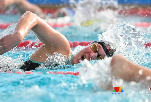 El equipo de natación de Estadio Español conquistó el primer lugar entre 28 clubes de Chile, Argentina y Uruguay.